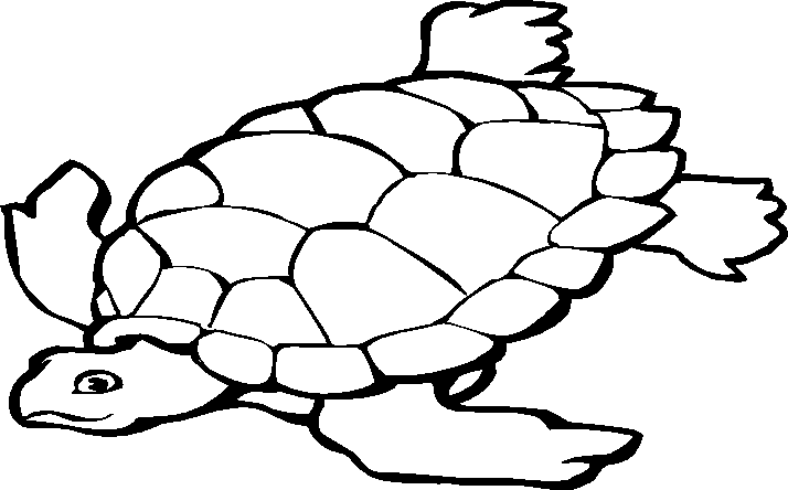 Раскраска: черепаха (Животные) #13396 - Бесплатные раскраски для печати