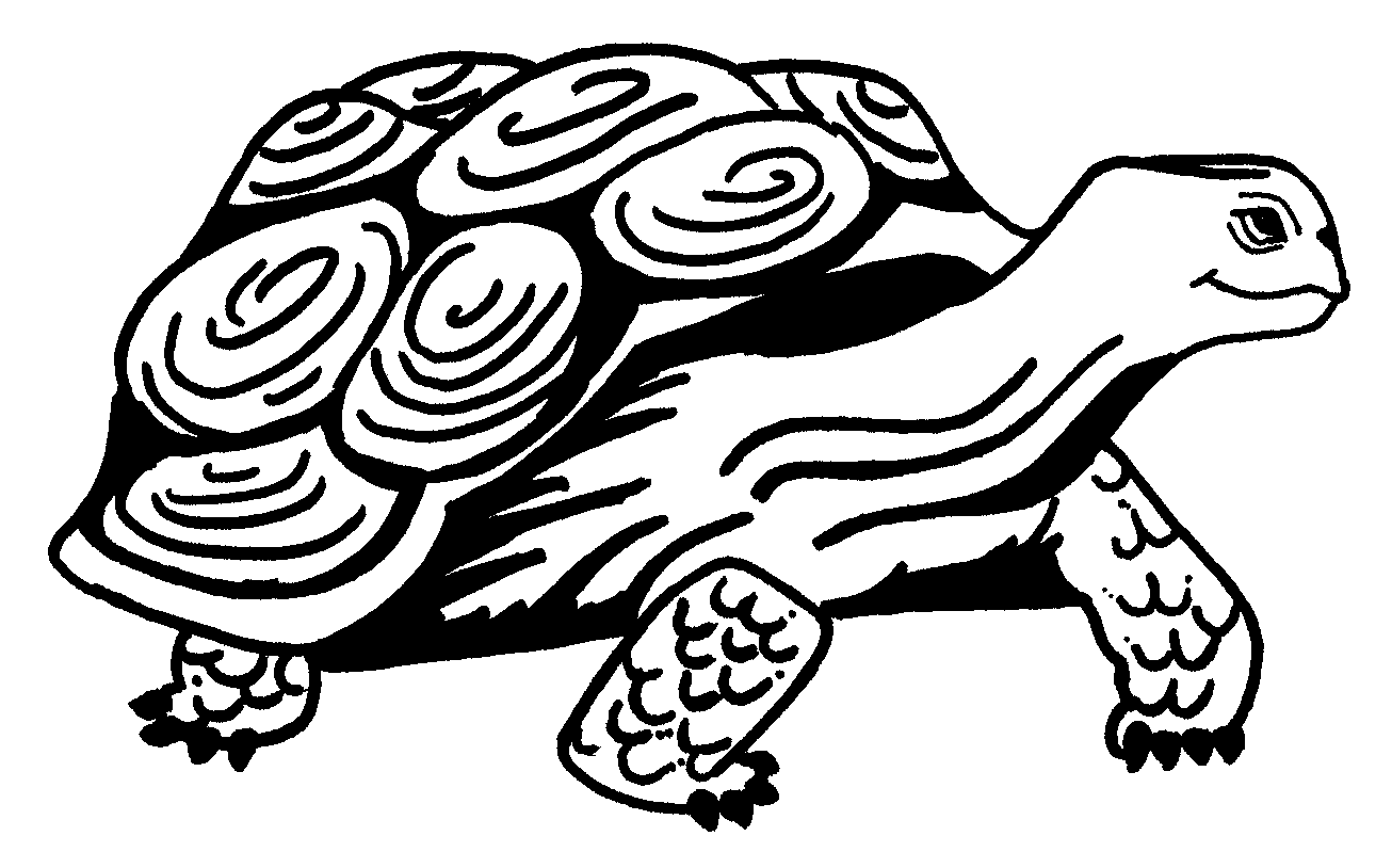 Раскраска: черепаха (Животные) #13403 - Бесплатные раскраски для печати