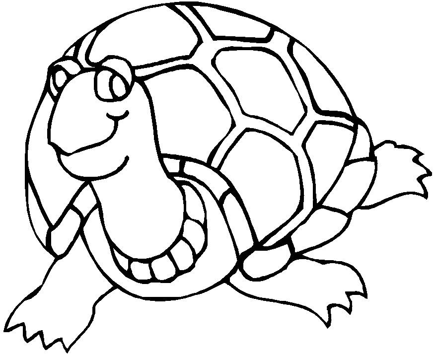 Раскраска: черепаха (Животные) #13423 - Бесплатные раскраски для печати