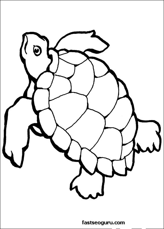 Раскраска: черепаха (Животные) #13429 - Бесплатные раскраски для печати