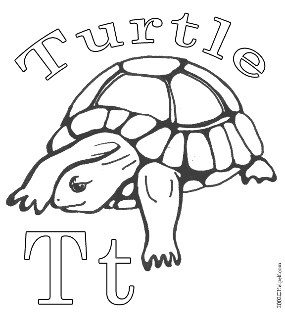 Раскраска: черепаха (Животные) #13462 - Бесплатные раскраски для печати