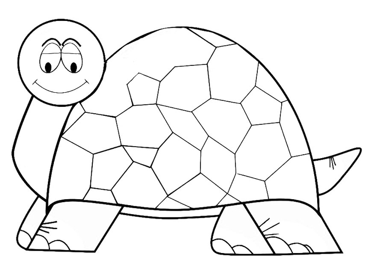 Раскраска: черепаха (Животные) #13464 - Бесплатные раскраски для печати