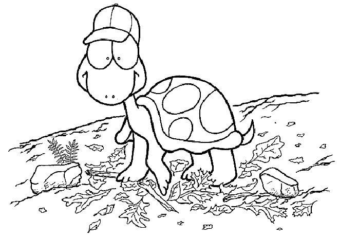 Раскраска: черепаха (Животные) #13465 - Бесплатные раскраски для печати
