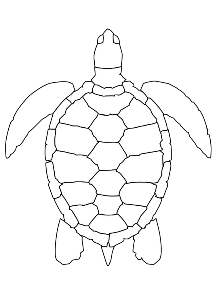 Раскраска: черепаха (Животные) #13467 - Бесплатные раскраски для печати