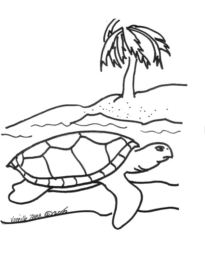 Раскраска: черепаха (Животные) #13469 - Бесплатные раскраски для печати