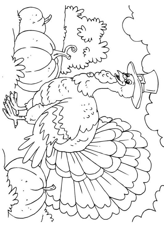 Раскраска: индейка (Животные) #5341 - Бесплатные раскраски для печати