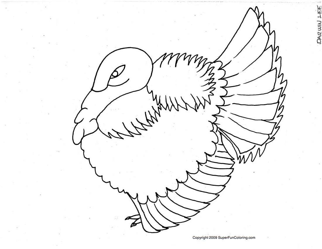 Раскраска: индейка (Животные) #5353 - Бесплатные раскраски для печати