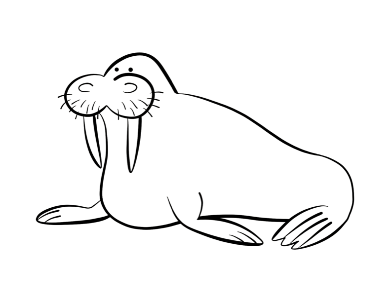 Раскраска: морж (Животные) #16480 - Бесплатные раскраски для печати
