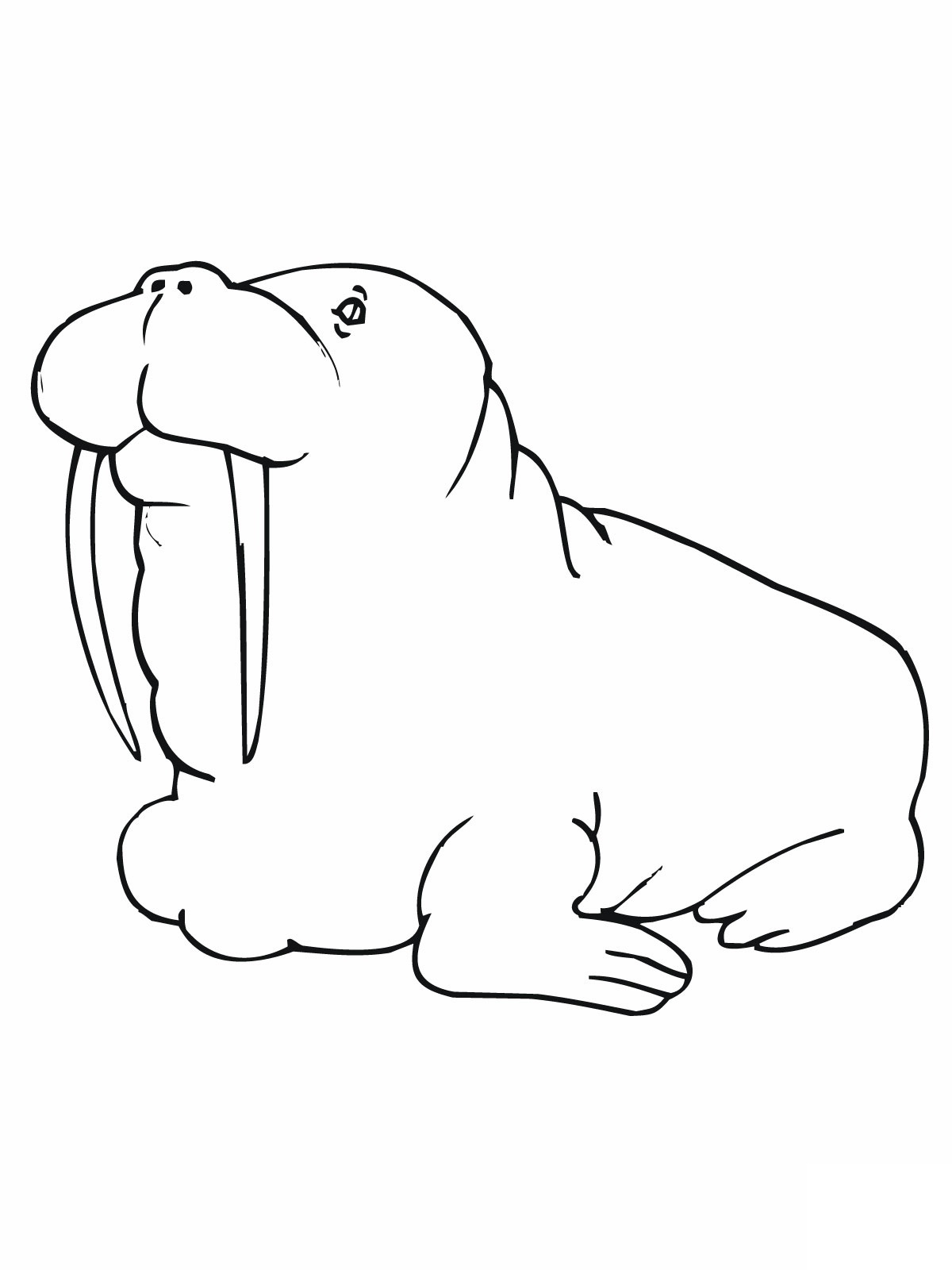 Раскраска: морж (Животные) #16481 - Бесплатные раскраски для печати