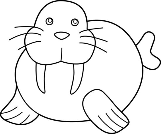 Раскраска: морж (Животные) #16490 - Бесплатные раскраски для печати