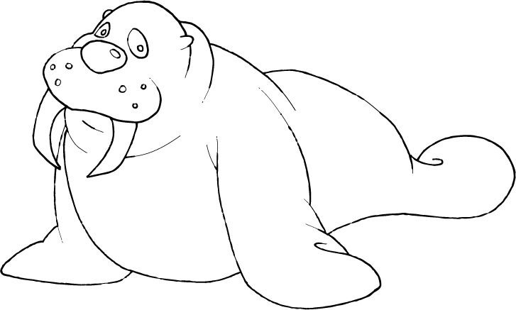 Раскраска: морж (Животные) #16507 - Бесплатные раскраски для печати