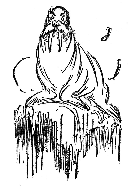 Раскраска: морж (Животные) #16630 - Бесплатные раскраски для печати