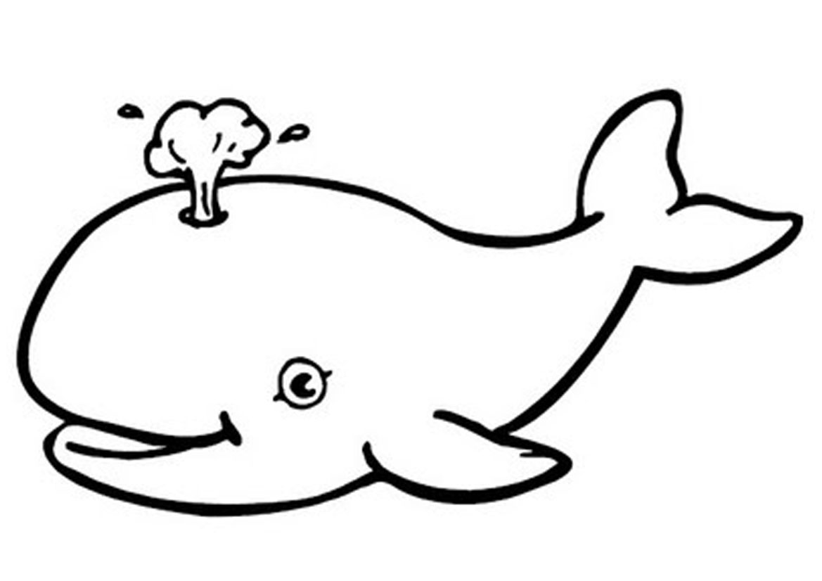 Раскраска: кит (Животные) #864 - Бесплатные раскраски для печати