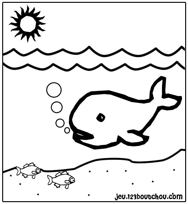 Раскраска: кит (Животные) #867 - Бесплатные раскраски для печати