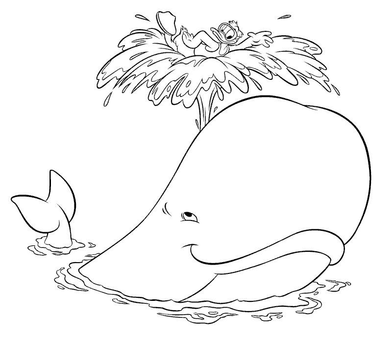 Раскраска: кит (Животные) #878 - Бесплатные раскраски для печати