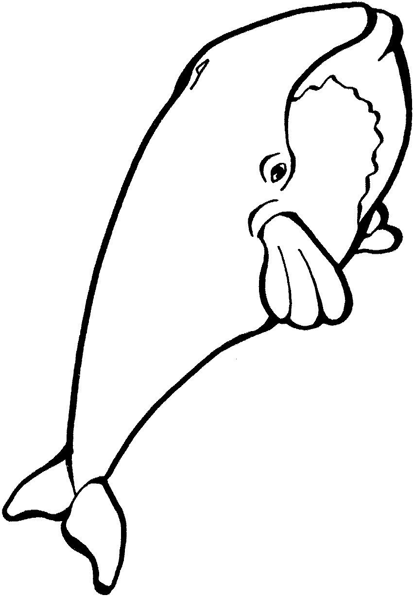 Раскраска: кит (Животные) #880 - Бесплатные раскраски для печати