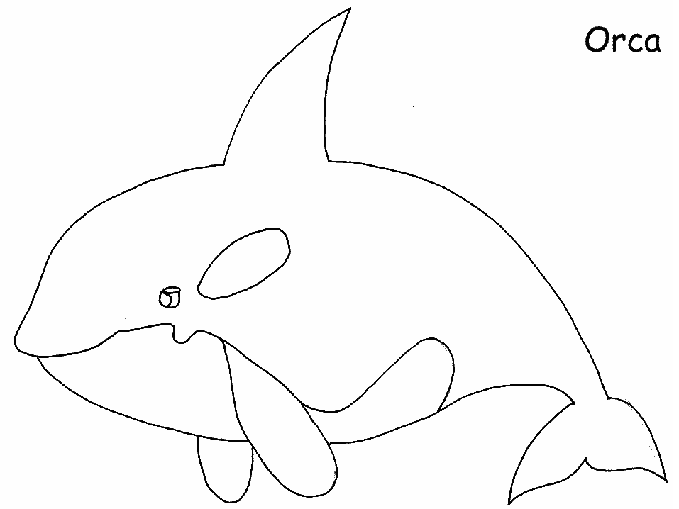 Раскраска: кит (Животные) #891 - Бесплатные раскраски для печати