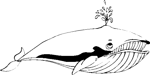 Раскраска: кит (Животные) #904 - Бесплатные раскраски для печати