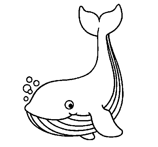 Раскраска: кит (Животные) #906 - Бесплатные раскраски для печати