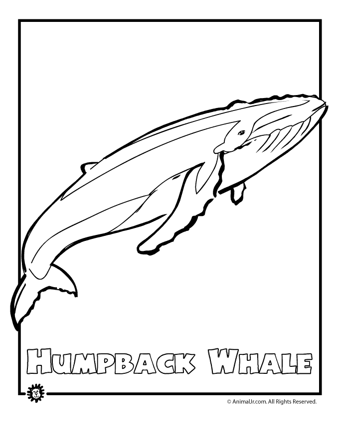 Раскраска: кит (Животные) #915 - Бесплатные раскраски для печати
