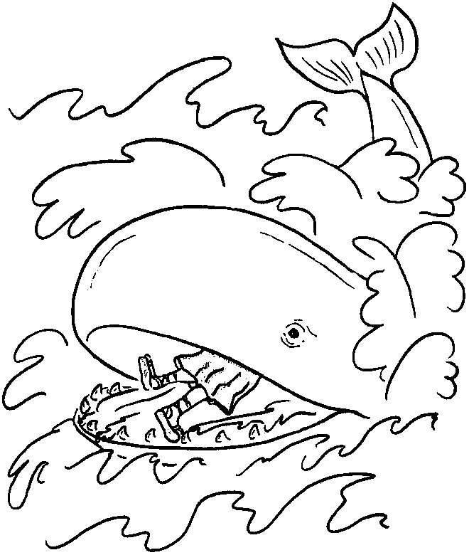 Раскраска: кит (Животные) #916 - Бесплатные раскраски для печати