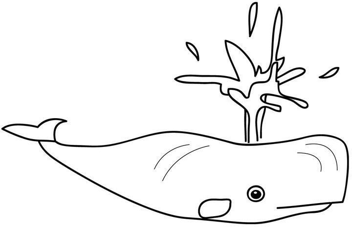 Раскраска: кит (Животные) #919 - Бесплатные раскраски для печати