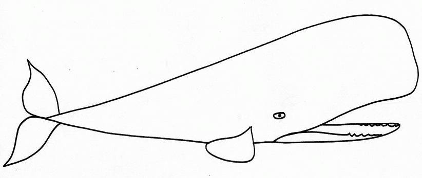 Раскраска: кит (Животные) #929 - Бесплатные раскраски для печати