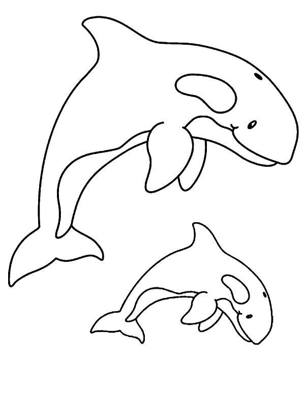 Раскраска: кит (Животные) #932 - Бесплатные раскраски для печати
