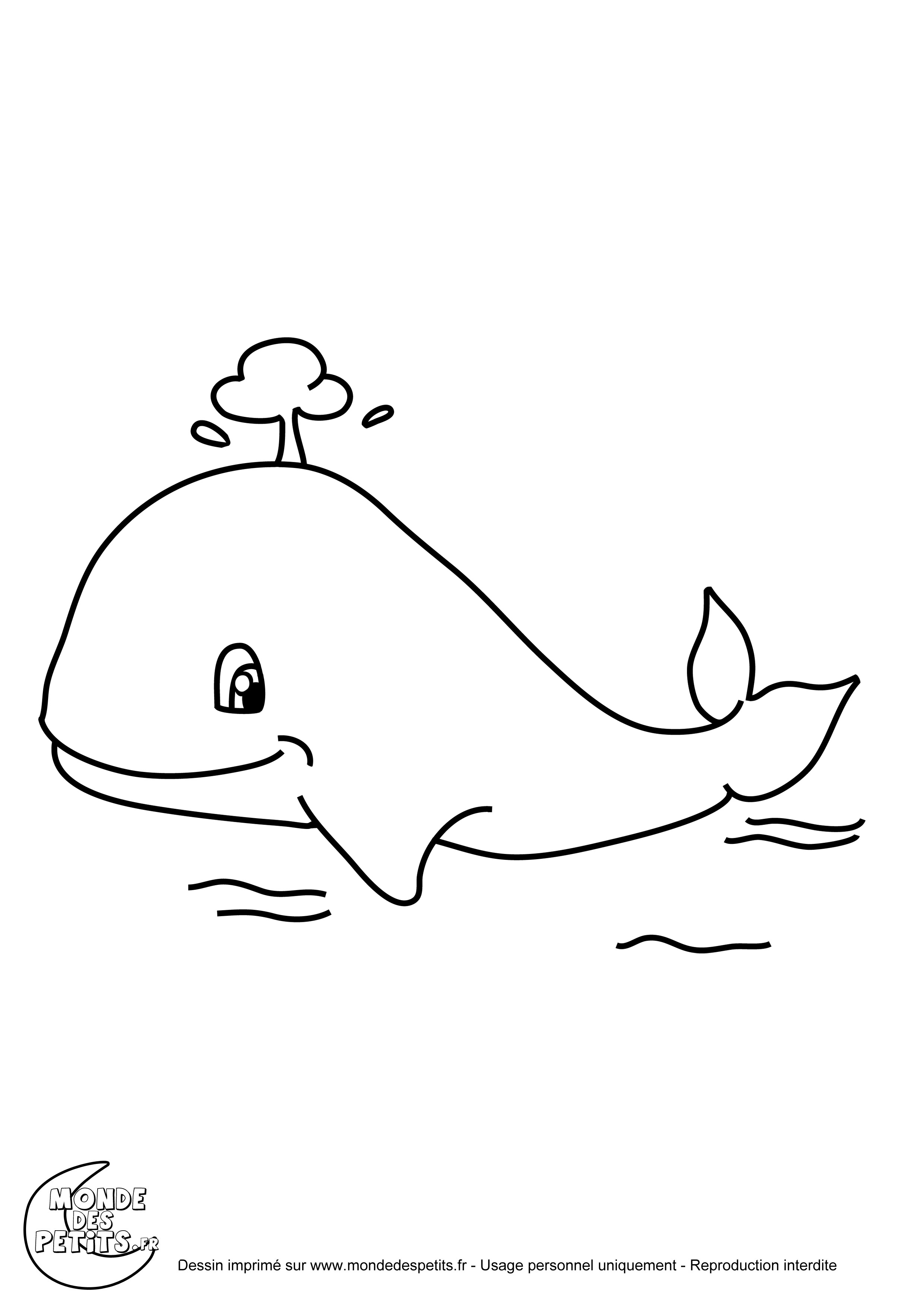 Раскраска: кит (Животные) #942 - Бесплатные раскраски для печати