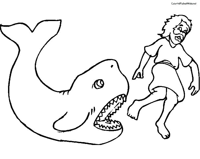Раскраска: кит (Животные) #956 - Бесплатные раскраски для печати