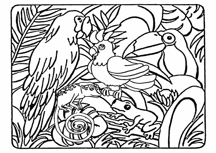 Раскраска: Дикие животные / джунгли (Животные) #21082 - Бесплатные раскраски для печати
