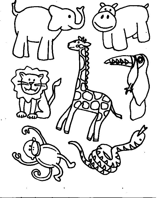 Раскраска: Дикие животные / джунгли (Животные) #21090 - Бесплатные раскраски для печати