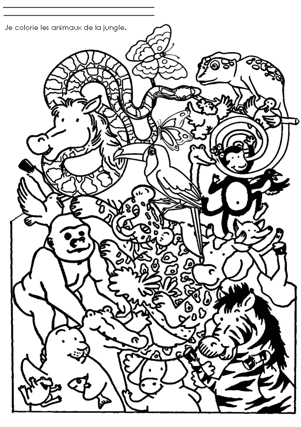 Раскраска: Дикие животные / джунгли (Животные) #21091 - Бесплатные раскраски для печати