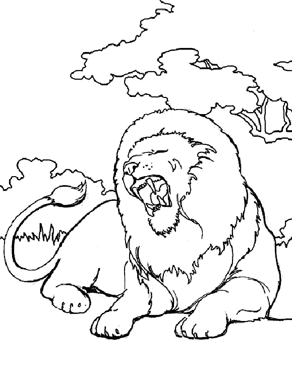 Раскраска: Дикие животные / джунгли (Животные) #21098 - Бесплатные раскраски для печати