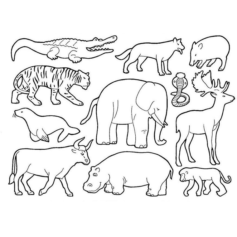 Раскраска: Дикие животные / джунгли (Животные) #21120 - Бесплатные раскраски для печати