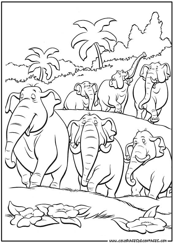 Раскраска: Дикие животные / джунгли (Животные) #21123 - Бесплатные раскраски для печати