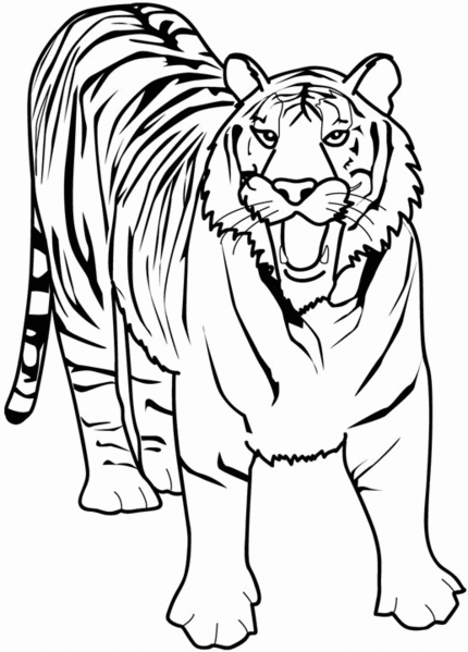 Раскраска: Дикие животные / джунгли (Животные) #21130 - Бесплатные раскраски для печати