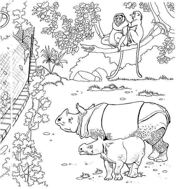 Раскраска: Дикие животные / джунгли (Животные) #21136 - Бесплатные раскраски для печати