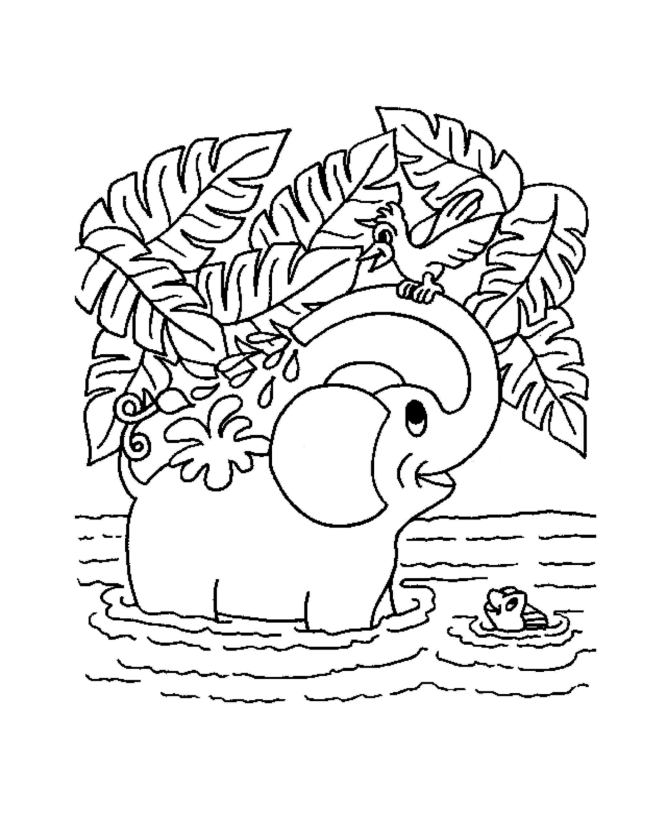 Раскраска: Дикие животные / джунгли (Животные) #21175 - Бесплатные раскраски для печати