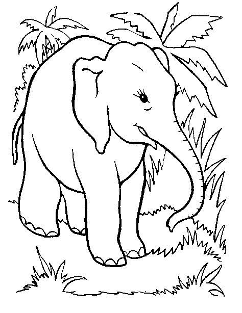Раскраска: Дикие животные / джунгли (Животные) #21263 - Бесплатные раскраски для печати