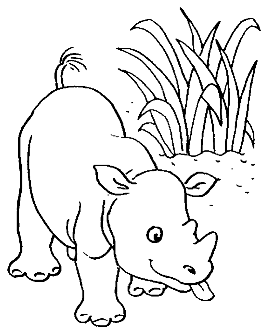 Раскраска: Дикие животные / джунгли (Животные) #21270 - Бесплатные раскраски для печати