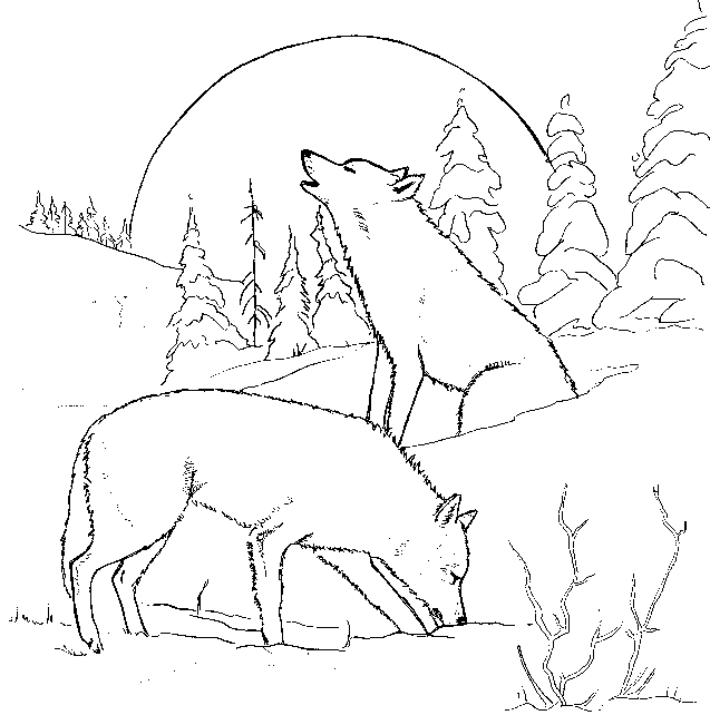 Раскраска: волк (Животные) #10439 - Бесплатные раскраски для печати