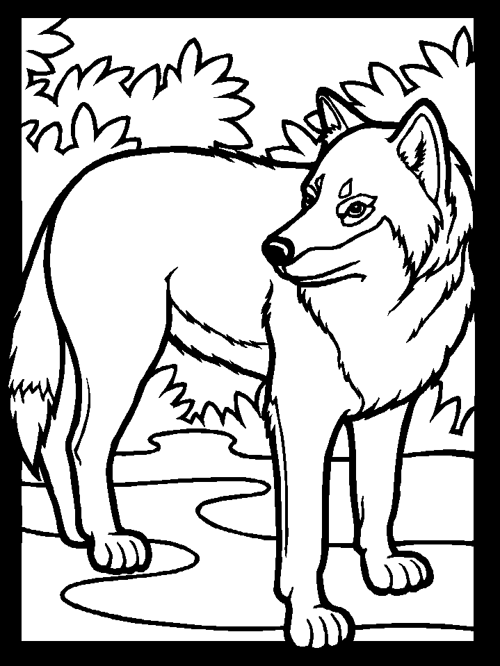 Раскраска: волк (Животные) #10440 - Бесплатные раскраски для печати