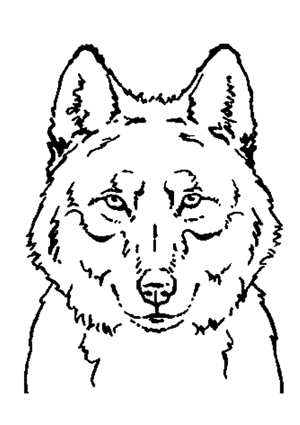 Раскраска: волк (Животные) #10450 - Бесплатные раскраски для печати