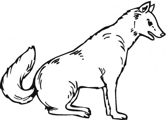 Раскраска: волк (Животные) #10452 - Бесплатные раскраски для печати