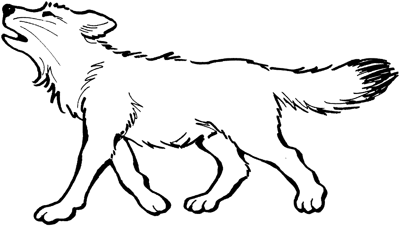 Раскраска: волк (Животные) #10456 - Бесплатные раскраски для печати