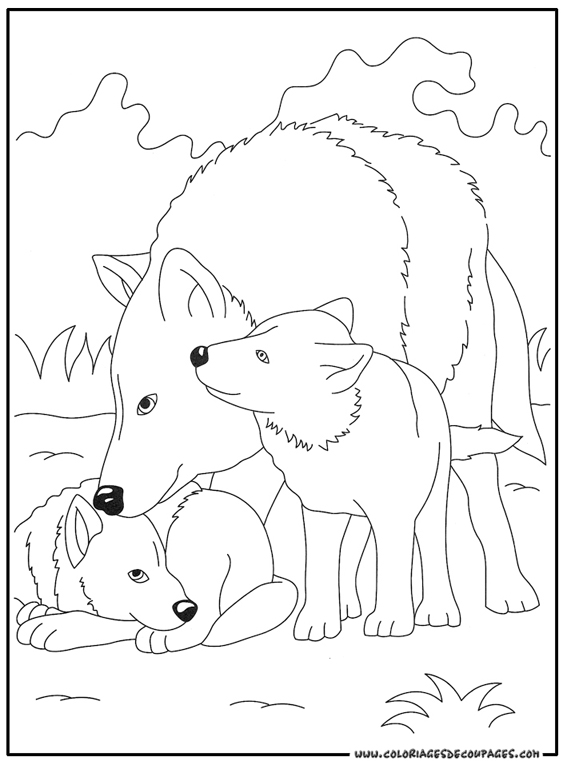 Раскраска: волк (Животные) #10491 - Бесплатные раскраски для печати