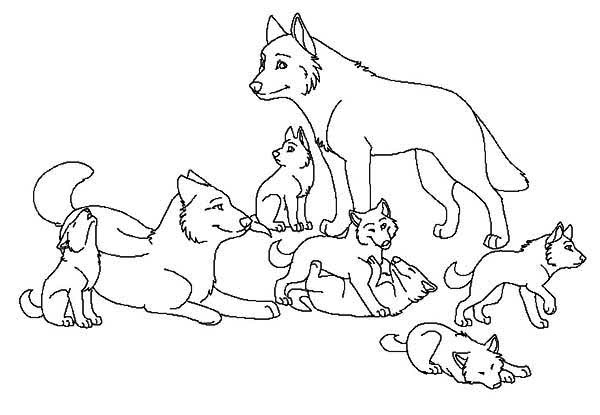 Раскраска: волк (Животные) #10556 - Бесплатные раскраски для печати