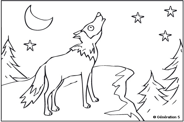 Раскраска: волк (Животные) #10558 - Бесплатные раскраски для печати