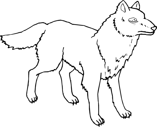 Раскраска: волк (Животные) #10600 - Бесплатные раскраски для печати